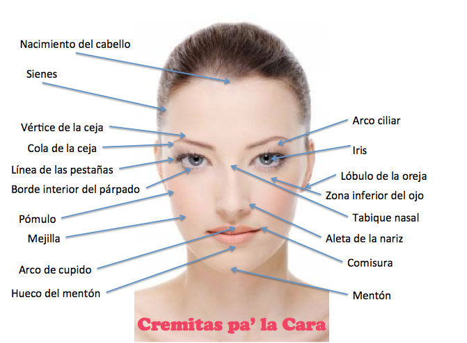 Los granos sobre la persona las glándulas sebáceas